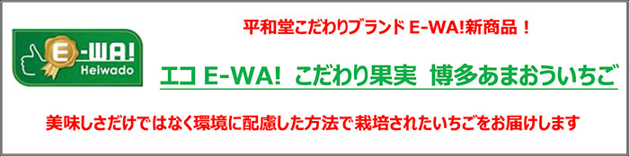 平和堂こだわりブランドE-WA!新商品! エコE-WA! こだわり果実 博多あまおういちご 美味しさだけではなく環境に配慮した方法で栽培されたいちごをお届けします
