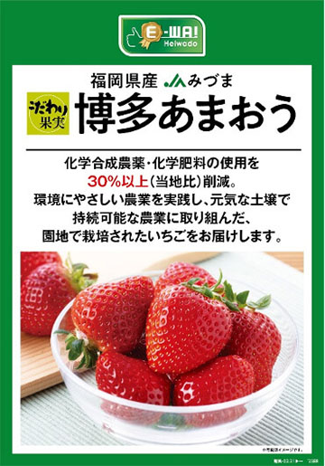 福岡県産 JAみづま こだわり果実 博多あまおう 化学合成農薬・化学肥料の使用を30%以上(当社比)削減。環境にやさしい農業を実践し、元気な土壌で持続可能な農業に取り組んだ、園地で栽培されたいちごをお届けします。
