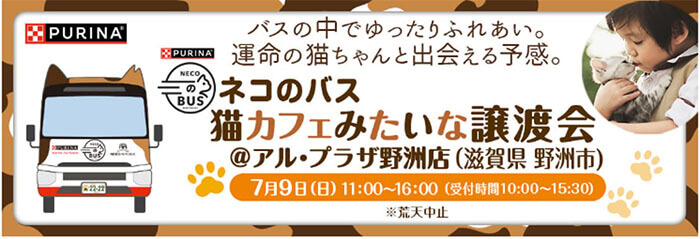 ネコのバス譲渡会の画像