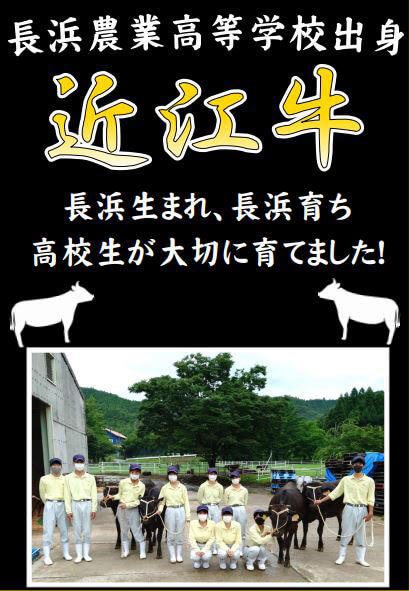 長浜農業高等学校出身「近江牛」長浜生まれ、長浜育ち 高校生が大切に育てました!