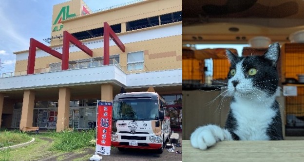 6月27日（土）アル・プラザ鶴見にて「ネコのバス」保護猫譲渡会開催